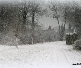 Losser in de sneeuw door Astrid Velthuis