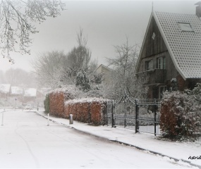 Losser in de sneeuw door Astrid Velthuis