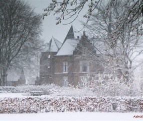 Losser in de sneeuw door Astrid Velthuis