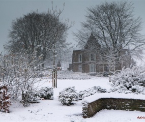 Losser in de sneeuw door Astrid Velthuis