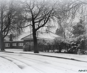 Losser in de sneeuw door Astrid Velthuis