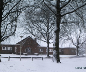 Losser in de sneeuw door Astrid Velthuis