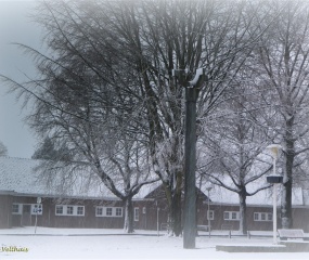 Losser in de sneeuw door Astrid Velthuis