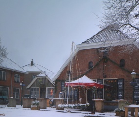 Losser in de sneeuw door Astrid Velthuis