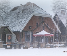 Losser in de sneeuw door Astrid Velthuis