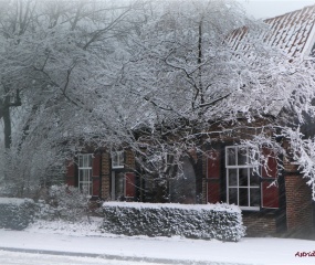 Losser in de sneeuw door Astrid Velthuis