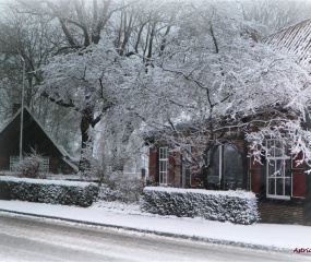 Losser in de sneeuw door Astrid Velthuis