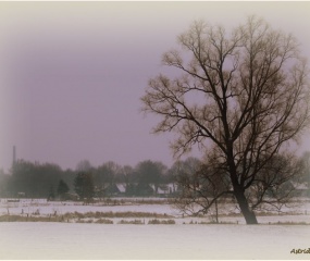 Dinkeldal in de sneeuw - Jan 2017 door Astrid Velthuis