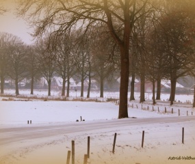 Dinkeldal in de sneeuw - Jan 2017 door Astrid Velthuis