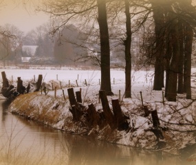 Dinkeldal in de sneeuw - Jan 2017 door Astrid Velthuis