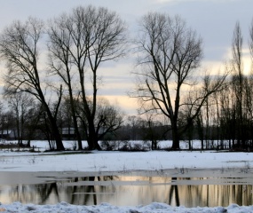 Dinkeldal in de sneeuw - Jan 2017 door Astrid Velthuis