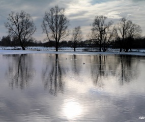 Dinkeldal in de sneeuw - Jan 2017 door Astrid Velthuis