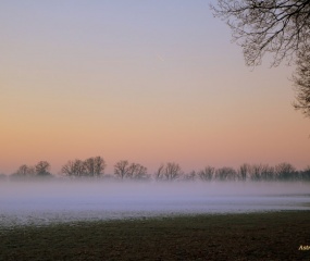 Winterwandeling door Astrid Velthuis