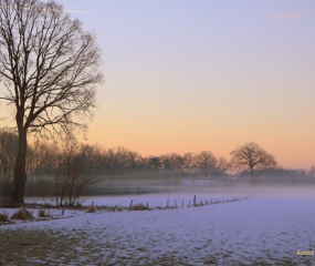 Winterwandeling door Astrid Velthuis