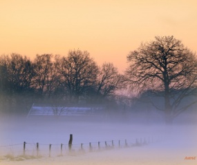 Winterwandeling door Astrid Velthuis