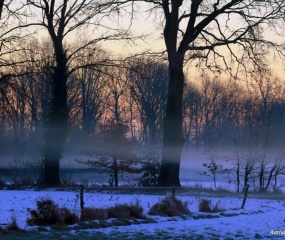 Winterwandeling door Astrid Velthuis