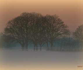 Winterwandeling door Astrid Velthuis