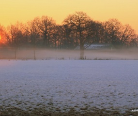 Winterwandeling door Astrid Velthuis