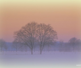 Winterwandeling door Astrid Velthuis