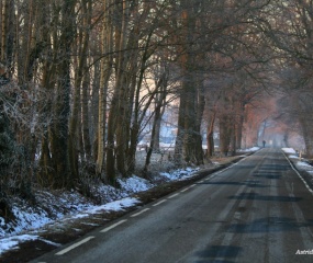 Winterwandeling door Astrid Velthuis