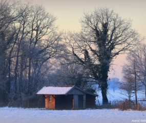 Winterwandeling door Astrid Velthuis