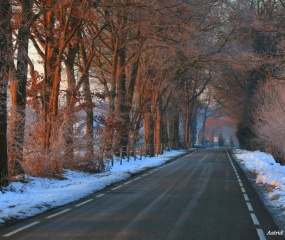 Winterwandeling door Astrid Velthuis