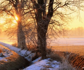 Winterwandeling door Astrid Velthuis