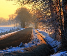 Winterwandeling door Astrid Velthuis