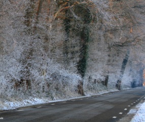 Winterwandeling door Astrid Velthuis