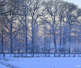 Winterwandeling door Astrid Velthuis