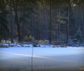 Winterwandeling door Astrid Velthuis