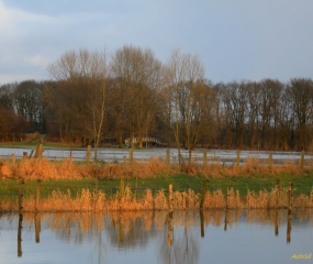 Het Dinkeldal in de middagzon