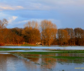 Het Dinkeldal in de middagzon