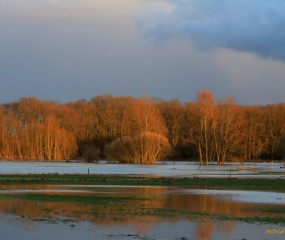 Het Dinkeldal in de middagzon