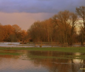 Het Dinkeldal in de middagzon