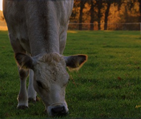 Indian Summer - het vervolg door Astrid Velthuis