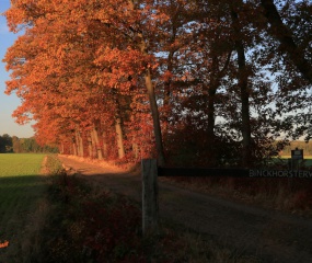 Indian Summer - het vervolg door Astrid Velthuis