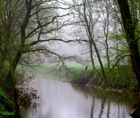 Astrid Velthuis - een Zondagmorgen in April