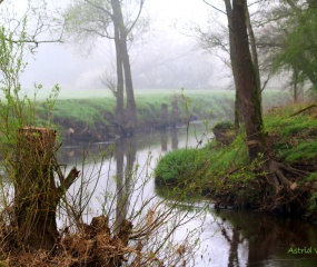 Astrid Velthuis - een Zondagmorgen in April