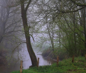 Astrid Velthuis - een Zondagmorgen in April