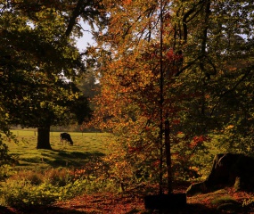 Indian Summer - het vervolg door Astrid Velthuis