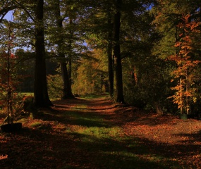 Indian Summer - het vervolg door Astrid Velthuis