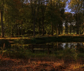 Indian Summer - het vervolg door Astrid Velthuis