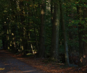 Indian Summer - het vervolg door Astrid Velthuis