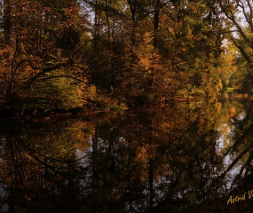 Indian Summer - het vervolg door Astrid Velthuis