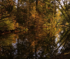 Indian Summer - het vervolg door Astrid Velthuis