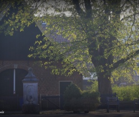 Zondagochtend-wandeling door Astrid Velthuis