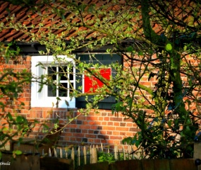 Zondagochtend-wandeling door Astrid Velthuis