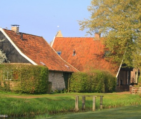 Zondagochtend-wandeling door Astrid Velthuis