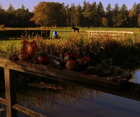 Indian Summer - het vervolg door Astrid Velthuis